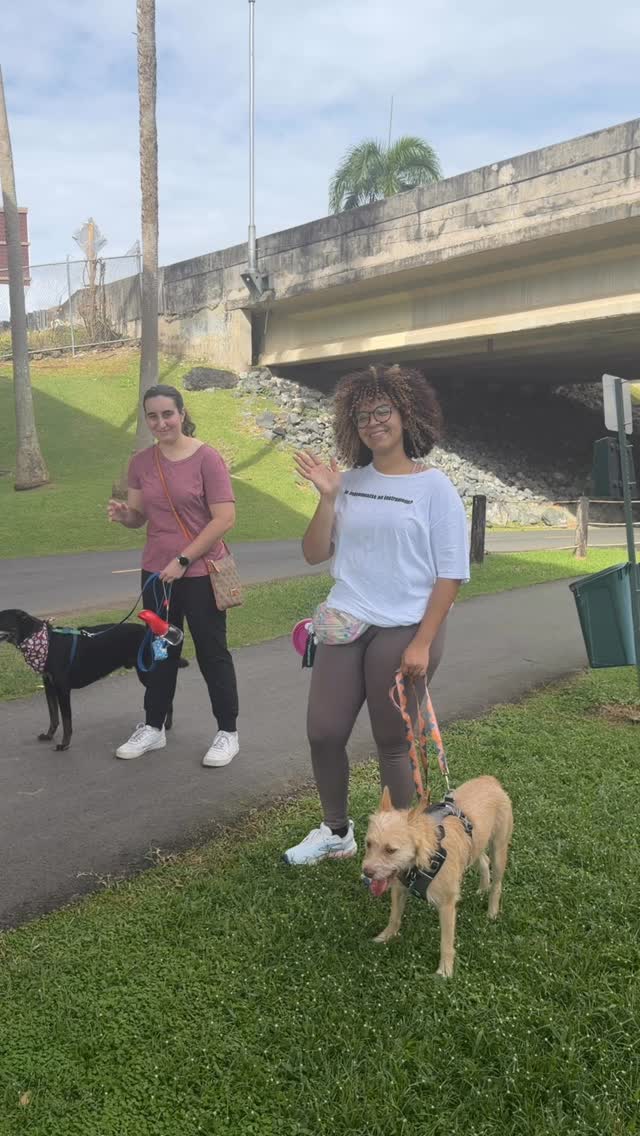 Nada como empezar un domingo rodeada de dog moms que simplemente entienden... 🐾✨
Ayer el día estaba bello… fue especial ver dog moms conocidad como caras nuevas!
Esto es exactamente lo que queríamos crear con nuestra comunidad: conexión real, más allá de Instagram. 🧡
Si llevas tiempo pensando en venir a uno de nuestros walks… este es tu sign!
Tag a la dog mom que viene contigo al próximo. 🫶🏼🐶
🛍️SHOP www.dogmomsofpr.com
#dogmomsofpr #puertorico #dogmomwalks #dogmomclub #dogsofpuertorico