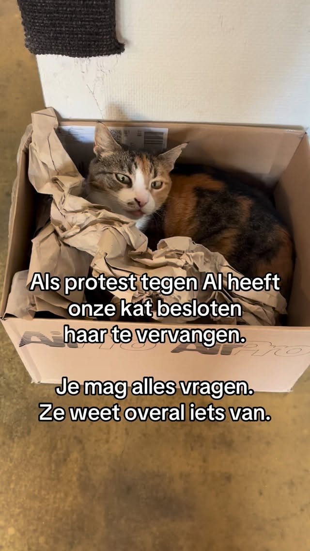 Onze nieuwe ‘AI’ miauwt soms, slaapt vaak en geeft ongevraagd advies… maar werkt altijd voor snacks. 😼✨
#kattencafe #kattenliefde #cats #alkmaar #fypnl
