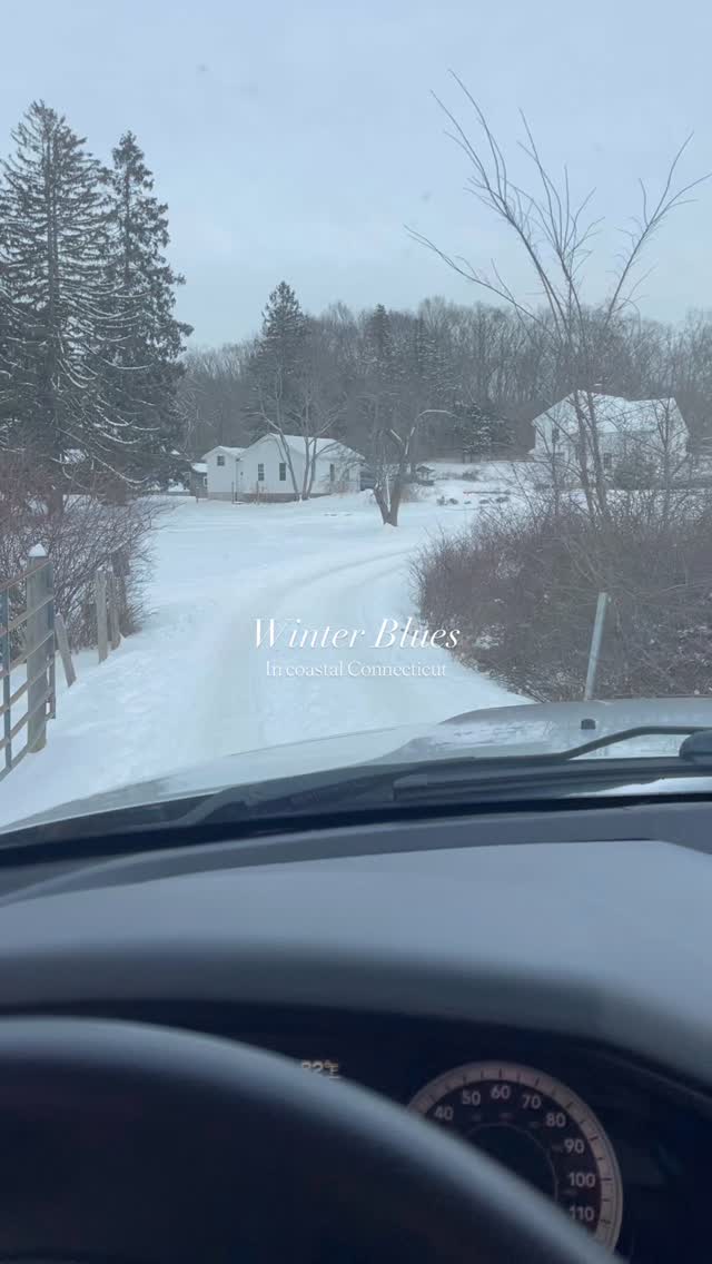 I have mixed emotions about this winter. It’s been cozy and relaxing and wonderful in every way. But we are getting to the point where the weekends are blending together and I’m starting to go a little stir crazy. My motivation to cook is at an all time low, my yard is unrecognizable, and I fear we won’t see snowdrops emerge until April!
Looking forward to spring projects and playing in the dirt.