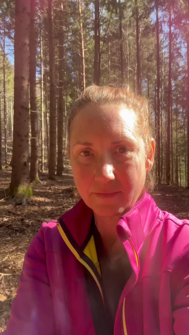 Schau vorbei und lerne uns kennen ❤️ #mel4animal #veldenamwörthersee #worldsamys #tierberatung #tierliebe