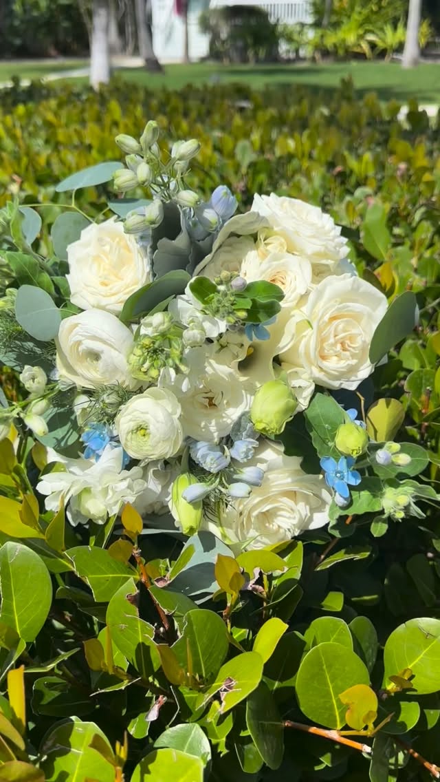 Nicole & Daniel 💕
#designsbydarenda #flowers #wedding #destinationwedding #beachwedding