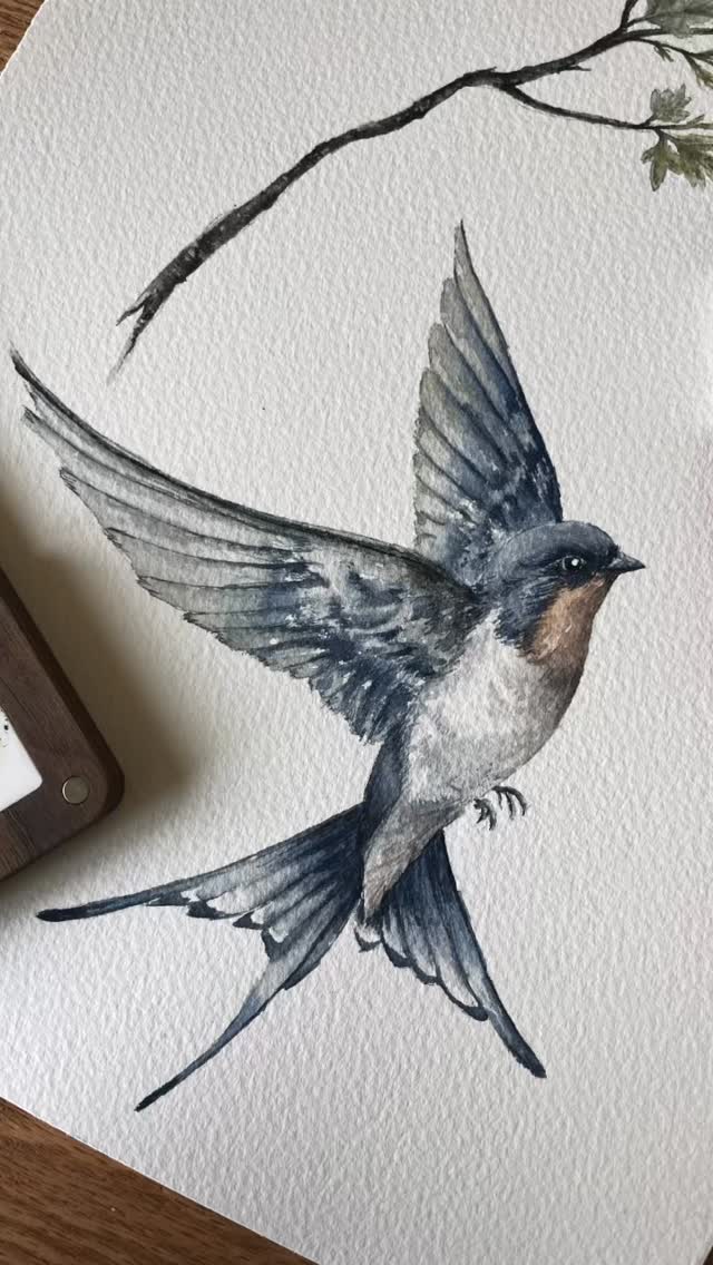 Happy Monday all.
This is my vintage inspired swallow for my upcoming new release on Friday! 🎉
.
#vintageart #swallowpainting #paintingvideo #homeschool