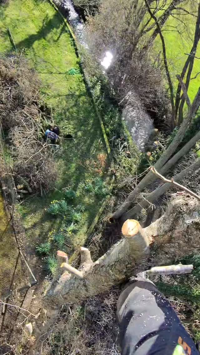 A day in the canopies!
