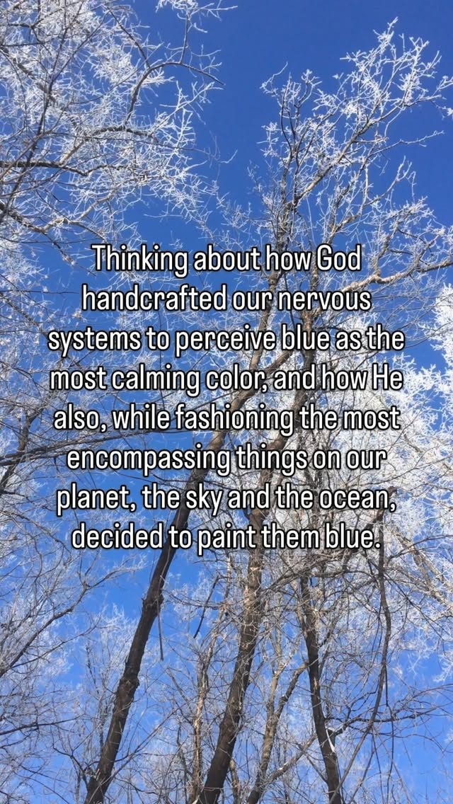 I think about this a lot actually. Brings me more comfort than even the color blue itself. Our Creator is thoughtful and loving. Our beautiful blue planet is only one of the many things that so perfectly prove that to me.
.
.
.
.
#hope #hopecore #adventure #beautyisallaround #daretohope blue blueplanet enya bluesky iminlovewiththesky sky ocean sea