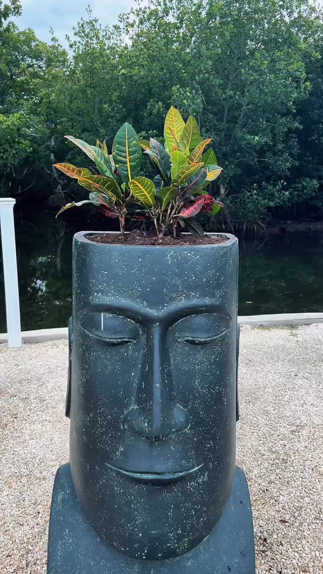 Vibes ✅ When will see see you down here? 👀
#keywestcampground #floridakeys #keywest #leoskeywestcampground