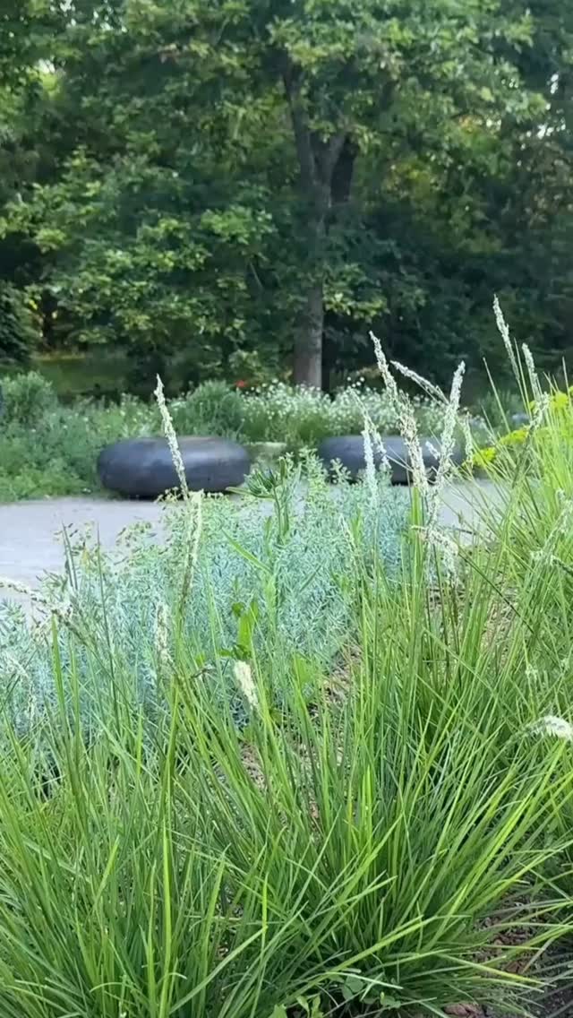 A moment in July last year at ‘Garden for the Future’ our @nationaltrust project at @sheffield_park_and_garden
So proud of this project and the team that’s made it happen, it’s already won a Sussex Heritage Trust Award, a Bali Award, and now it’s shortlisted for a Pineapple Award! Excited to see how it grows this summer!
⸻
ABOUT: Joe Perkins Design is a multi-award-winning landscape design consultancy, creating innovative outdoor spaces that celebrate the environment, wildlife, and biodiversity. Working across the UK and internationally, we partner with clients who share our passion for sustainable and visionary design. Discover more about our work at: www.joeperkinsdesign.com