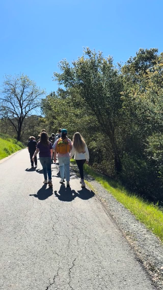 Where does our water come from?
Yesterday’s Voyager field trip took us to the Lafayette Reservoir to continue our exploration of water.
The reservoir holds 1.4 billion gallons of water, which works out to over two miles if you walk the loop — so we laced up our shoes and got our miles in while learning where our local emergency water supply is stored by EBMUD.
After our walk, we stopped by the library and collected a water sample from a nearby creek to bring with us for testing.
Our final stop was @calikidcorals.norcal where students turned into scientists for the afternoon. We tested:
• Nitrates
• pH
• Magnesium
• Calcium
• and more
We compared three different samples:
• reservoir water
• creek water
• our tap water
The biggest surprise?
The creek water actually tested the cleanest.
Moments like this are why we love field-based learning.
Students aren’t just hearing about science — they’re collecting data, asking questions, and discovering answers themselves.
Learning becomes a lot more meaningful when you can walk the watershed, hold the sample in your hand, and test it with your own eyes.
#VoyagerAcademy #FieldBasedLearning #STEMEducation #HandsOnLearning #CuriousKids