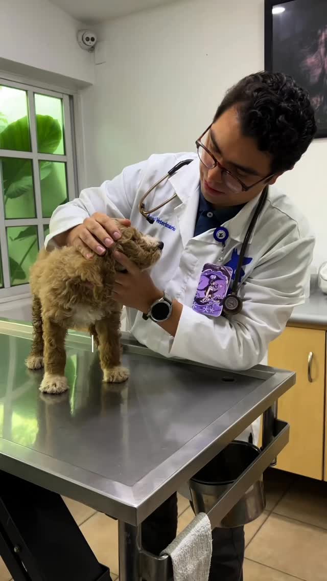 🏥✨ Ofrecemos servicios médicos integrales que nos permiten acompañar a nuestros pacientes en cada etapa de su vida, desde la prevención y el diagnóstico, hasta tratamientos especializados y seguimiento continuo. Nuestro equipo, instalaciones y tecnología están enfocados en brindar atención profesional, segura y con el trato humano que cada paciente y su familia merecen.
📞55.5360.3311 / 55.5240.0404 / 55.8841.5819
📍Hacienda de Temixco #8 Bosques de Echegaray, Naucalpan, Méx.