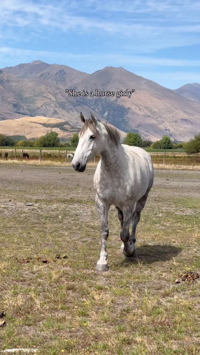 âSheâs a horse girl.â What does that mean to you?
To me:
- Our weekends involve horses
- We donât mind peeing outside
- We can back up a trailer better than you can
- Our clothes involve horse hair
- We are strong and tough, but soft at the same time
- We donât mind hail, rain, or windy days
- Our camera roll is 90% horses
- We are a bit dare devils
- Our happiness = riding
Oh yeah⌠whoâs with me? đđ
.
.
.
.
.
#horsegirl #paardenmeisje #pferdemädchenđ #cowgirls #horsemad