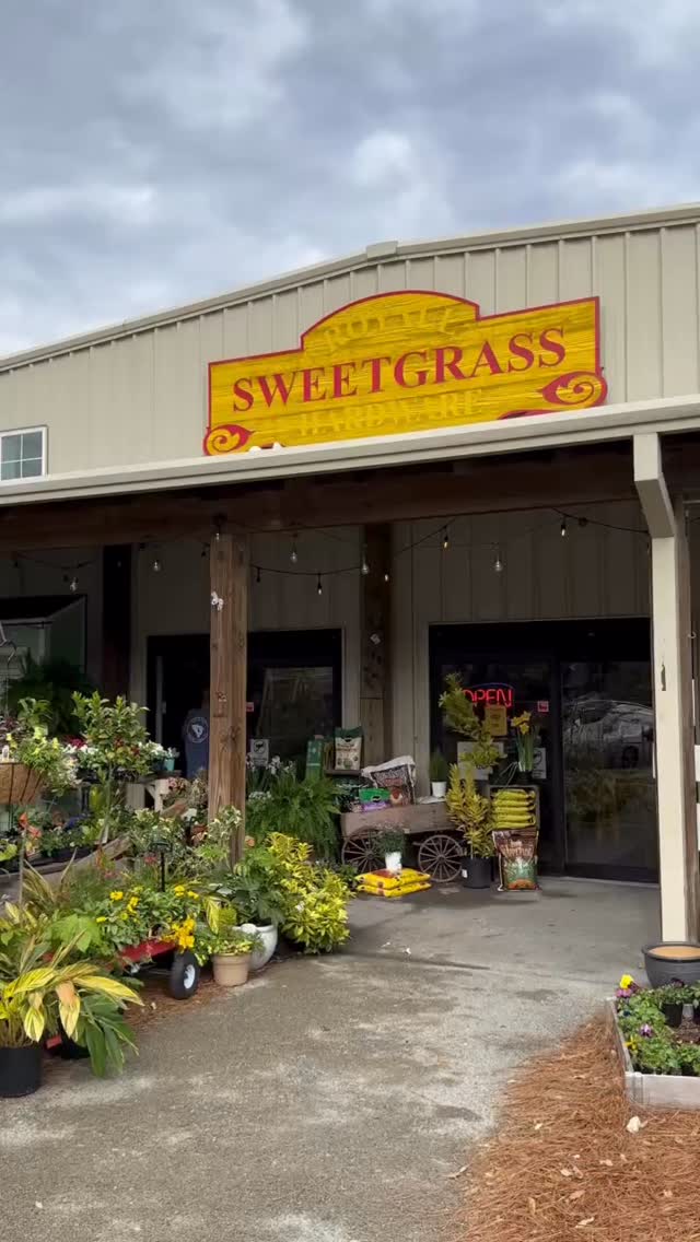 Go visit @sweetgrassmercantile We’ve just restocked many of your favorite designs! #mountpleasantsc #charlestonsc #shirtdesign