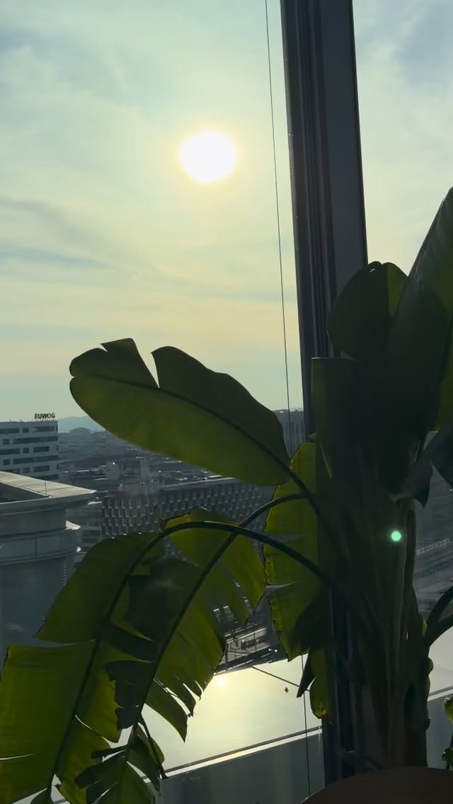 Can’t get enough of Espresso Martini Day?
On March 15, we are serving a selection of Espresso Martini variations, each crafted for those who simply can’t get enough of the classic. From bold to creamy to playful twists — the night belongs to Espresso Martini lovers. ☕🍸
#bestoftheday #espressomartini #aurorarooftopbar