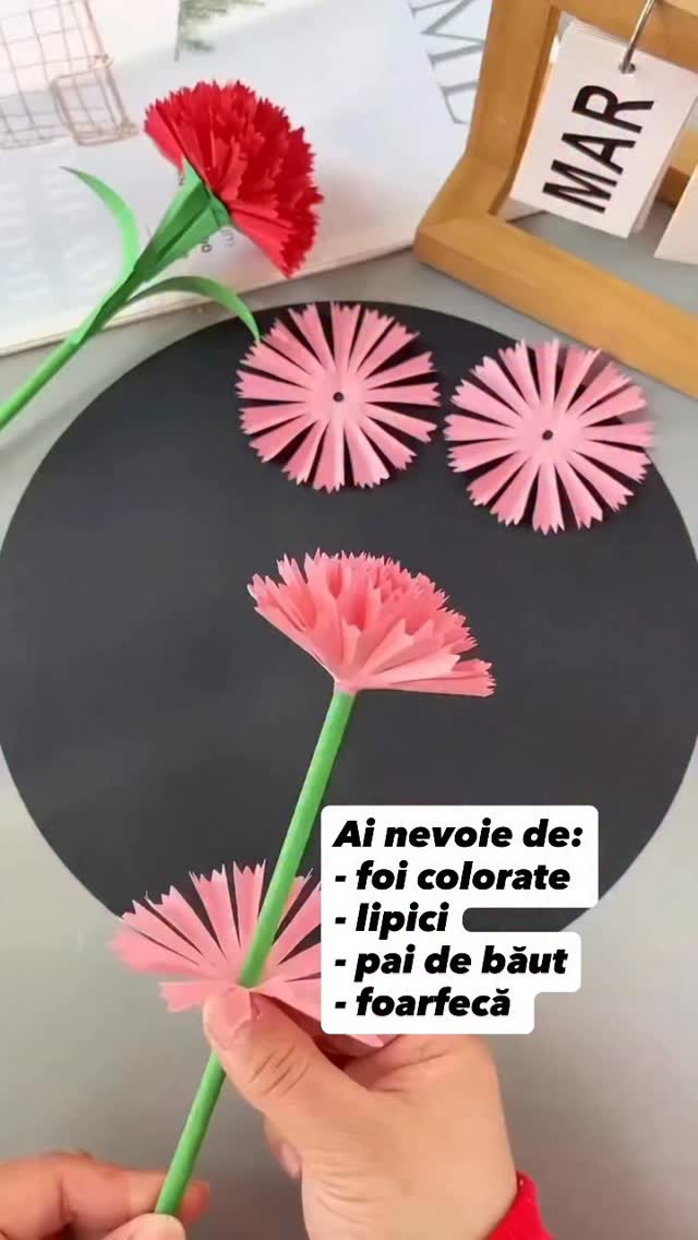 🌸 O floare simplă din hârtie care aduce multă bucurie!
Cu doar câteva materiale la îndemână, poți crea o floare frumoasă din hârtie, perfectă pentru un mic cadou sau pentru decor de primăvară.
#gradinitaonline #activitaticopii #activitatipentrucopii #kidsactivities #activitiesforkids