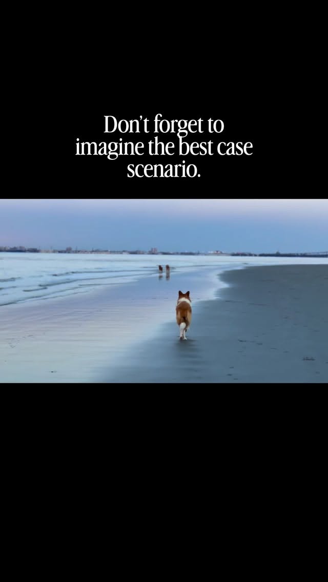 Too often we only consider the worst case scenario. Our normal needs to get back to perspective for our opportunity to help people, excitement to show up for others and an overwhelming compassion to be our best for those put in front of us.
The healers need healing - for not just their sake but who they serve.
#mindsetmatters #veterinarymedicine #visualization #veterinarymindset #vetwellness notonemorevet mindfulvet vetschool