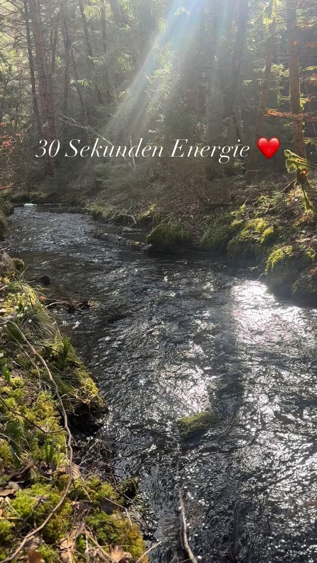 Energie tanken in 30 Sekunden ❤️ #mel4animal #veldenamwörthersee #energy #waldbaden #allesfließt