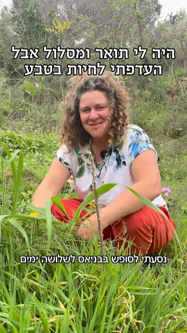  תעודת סיום הלימודים עוד היתה חמימה בידיים שלי.
כשכולם שאלו ״נו, איפה את מתחילה לעבוד״? לא עניתי - עברתי לגור בטבע, באוהל.
כשאני מסתכלת היום על התמונות של האשה הצעירה והיחפה שהייתי, אני מבינה שתקופת הנדודים היא שהצמיחה בי את השורשים הכי עמוקים. אז למדתי שעוגן הוא הידיעה שאני יכולה לצמוח בכל מקום, גם כשהרוחות סוערות.
ביום האשה הזה, בתקופה שבה כולנן מחפשות יציבות, אני רוצה להזכיר שהכוחות שלנו נמצאים עמוק בתוכנו, ואני מאחלת לכולנו - להקשיב לעצמנו, להעז, או פשוט להיות.
לזכר הימים ההם, ולכבוד הנשים שאנו היום 🩷
.
.
.
.
.
.
.
.
#יוםהאשה #האשהשאני #נדודים #שורשים #מושרשת