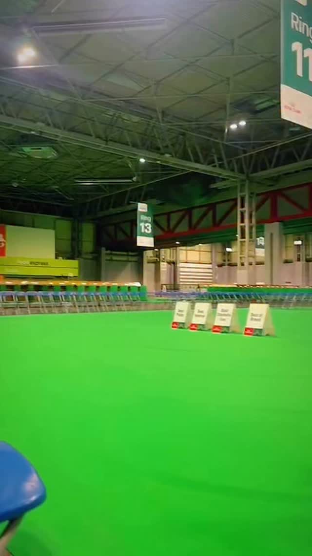 🏆 CRUFTS EXCLUSIVE 🏆
Are you a champion pup? 🐾
Our limited edition DoxieDri fleeces are here and yes, hound ones are available too! 💚
Super limited edition, so once they’re gone, they’re gone… and they’re selling fast! 💨
Any remaining stock after Crufts will be added to the website. 💻
👇 Tell us in the comments…
Does your sausage think they’d win Best in Show? 🏆
#crufts #dachsundoftheday #hounddog #dogfleece #champion