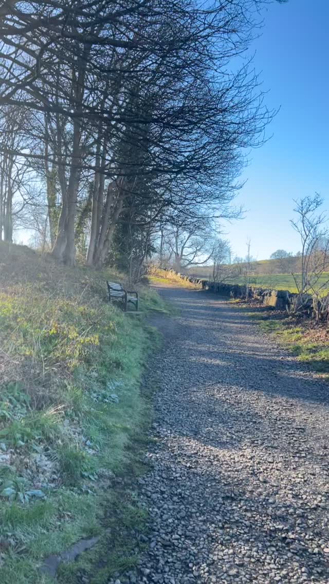 Soaking up the sunlight on a beautiful spring morning.
#forestbathing🌲🌲🌲 #forestbathingscotland #forestbathing #forestbathingedinburgh #walking