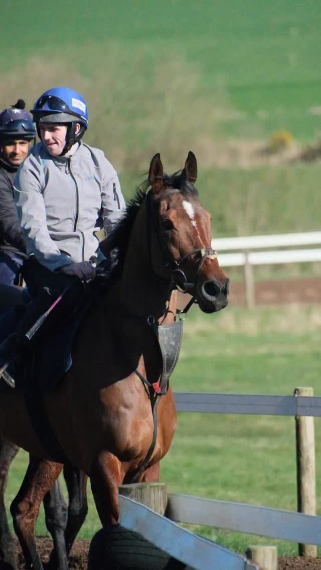 Great to have @coolmara_stables in this morning to wish The Big Westerner luck ahead of Cheltenham…and a huge thank you to them for bringing a delicious breakfast for all our staff 🥓🍳❤️