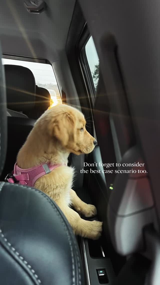 The healers need healing.
We can no longer stay comfortable like this. Our calling used to excite us, motivate us.
We fought hard to get where we are and we’ve let the stressors, long hours, negative feedback and difficult cases suffocate our fire.
Our normal needs to get back to perspective for our opportunity to help people, excitement to show up for others and an overwhelming compassion to be our best for those put in front of us.
The healers need healing - for not just their sake but who they serve.
#mindsetmatters #veterinarymedicine #visualization #veterinarymindset #vetwellness notonemorevet mindfulvet vetschool