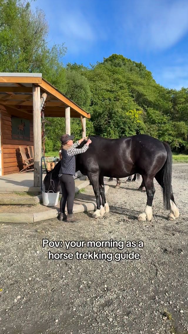 Mornings are my favourite part of the day.
The coffee, the sound of birds, calm air, and the first light touching the mountains. There’s something special about it. ✨
Getting the horses ready in the morning is always a really nice moment for us as guides. The rest of the day we’re busy making sure everyone else is having the best time out on the trail.
But these first 1–2 hours… they’re for us and the horses.
Sometimes quiet.
Sometimes full of laughs if a few of us are there together. Just simple moments before the day begins.
Of course some mornings are rushed, that’s part of the job. But more often than not, these moments are the ones we enjoy the most. 🐎☕️
.
.
.
.
.
#goodmorning #horselover #horselife #workinghardorhardlyworking #horseowner