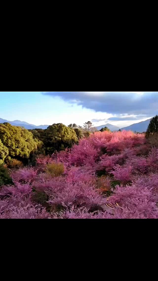 It's beautiful day for cycling
#letsridetaiwan
#letsridetogether
#cyclingtaiwan