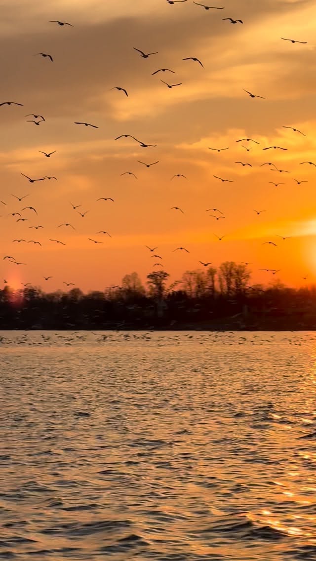 Breaking in the new @anglerschoicemarine_ @triton_boats_official with @epicericofficial on Smith Mountain lake this afternoon. Sure was a nice sunset! #tournament #largemouthbassfishing #mountain #lake #sunset