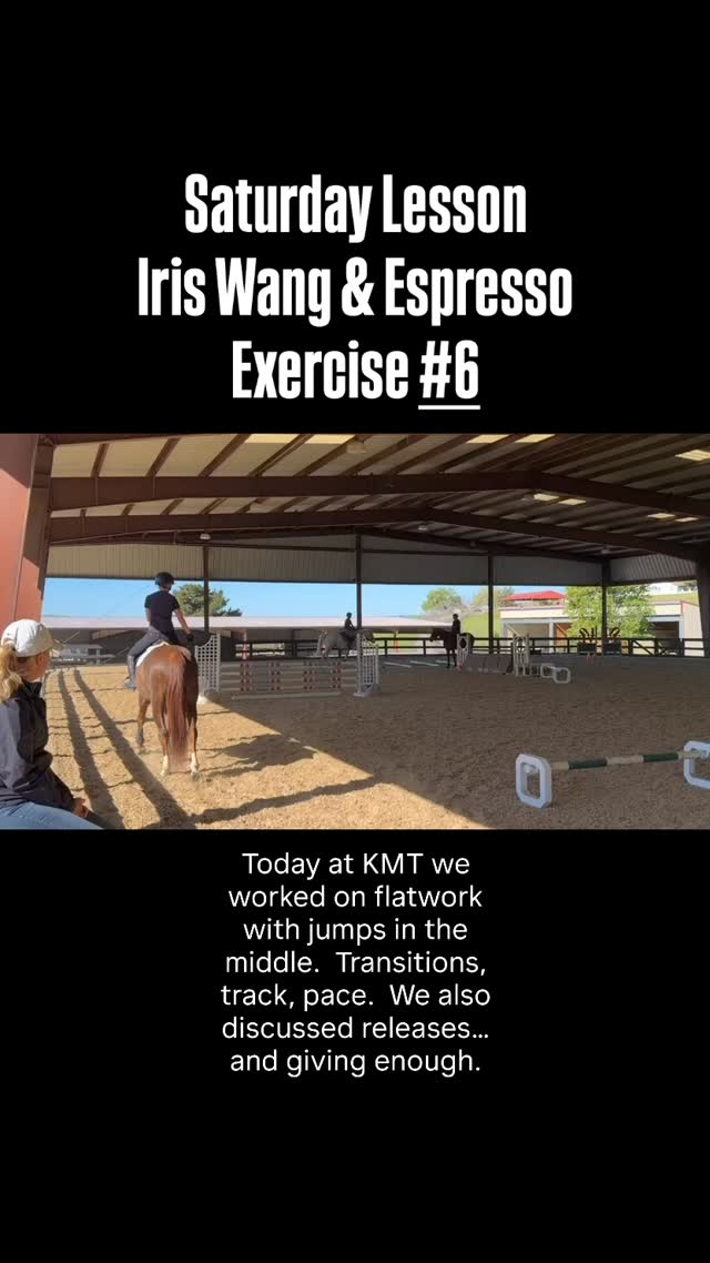 We had a fantastic lesson at the farm today! Here I have Iris demonstrating one of our exercises. We worked on flat work, incorporating jumps into it. We also chatted about releases, as often writers tend to give to little or too much when they just need to give enough. Nice job, Iris!