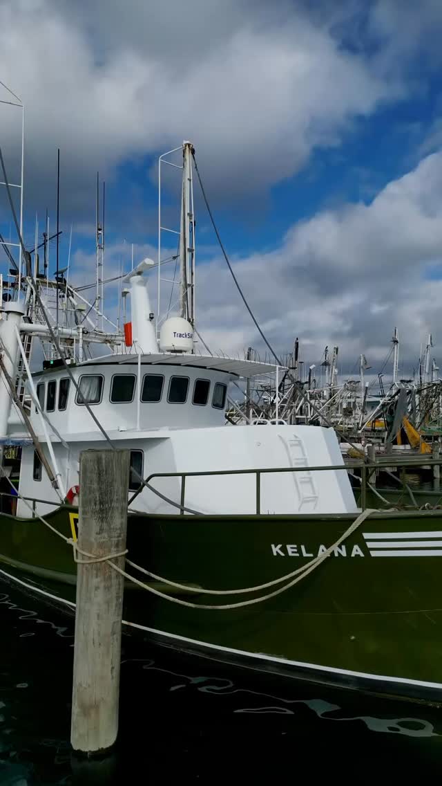 🦐 We’re thrilled to share that Silver Sea Seafoods is a finalist in the QSMA 2026 Queensland Seafood Industry Awards for Small Business!
As a small family owned and operated commercial Fishing business we started Silver Sea to diversify and showcase the Eastern King Prawn story, from ocean to plate, highlighting provenance and the role the team play in delivering prawns to your plate.
The last 5 years has been a journey, we are proud to supply our prawns both domestically and internationally and growing last years release of the new product the premium prawn stock which is now available in 3 countries and 150 stores.
We want to acknowledge the Mooloolaba fishers who provide product for our Prawn Stock, our customers who love our Prawn Stock and our Eastern King Prawns as much as we do, our chefs and restaurants who bring the EKP to life in their menu, our retailers who took a chance on trying something new, and our distributors who believe in SSS. And a huge shoutout to Allan, Kane, and Lee, our fishermen who brave sun, storm, and long days at sea, not just because it’s a business or a career but because of their love for the ocean and their pride in their product.
Congratulations to all the other finalists, looking forward to celebrating the passion and pride for our wild caught seafood industry on Friday the 13th!
#mooloolaba #queenslandseafood #wildcaught #easternkingprawn #prawnstock