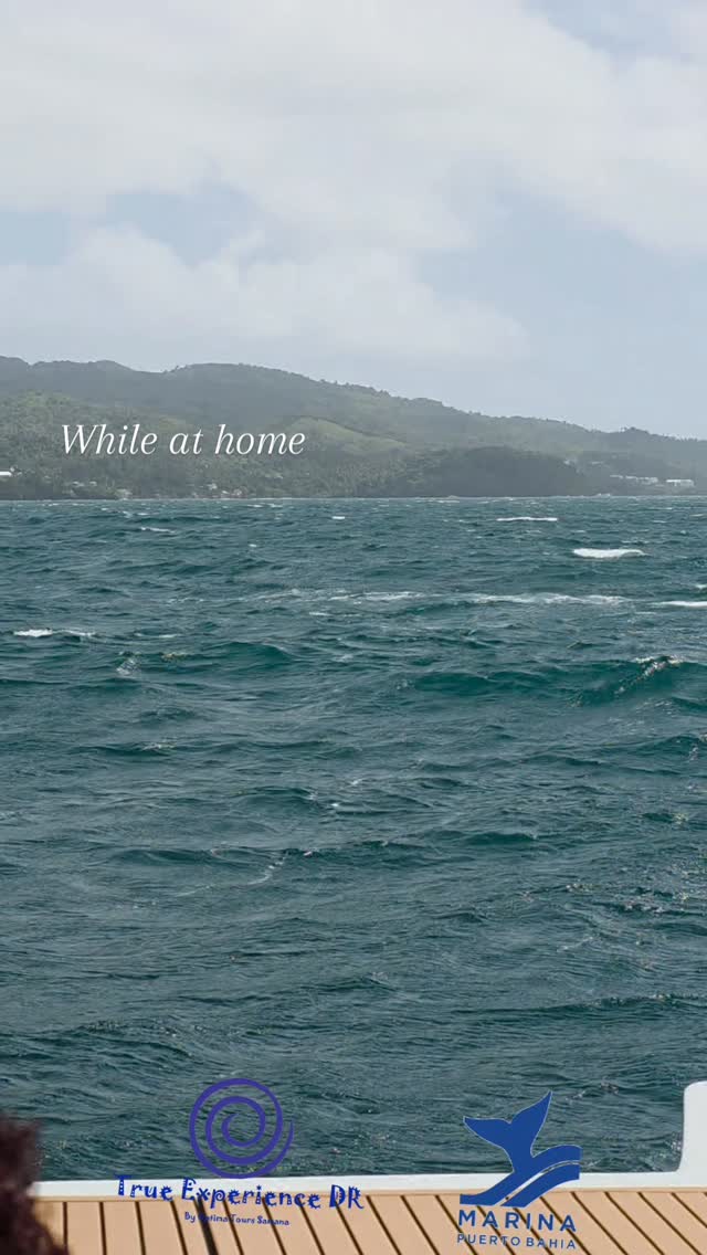 Warming up the bodies for a long travel to where they feed and prepare wheir way back to the Dominican Republic.
Pure emotion watching this enormous mammals jumping, swimming and having fun. Enjoy your trip now or wait 10 months.
#Samana #dominicanrepublic #whalewatching #luxuryboat