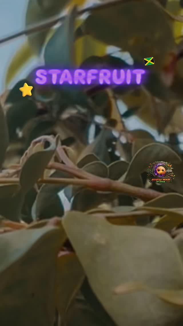 ⭐️🍐🇯🇲