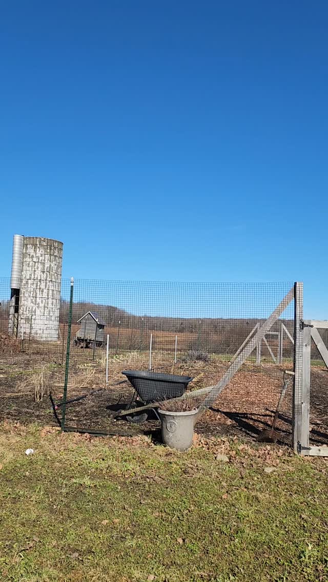 Some days are hard, and some days are idyllic.
How lucky for us that today is not a hard day.