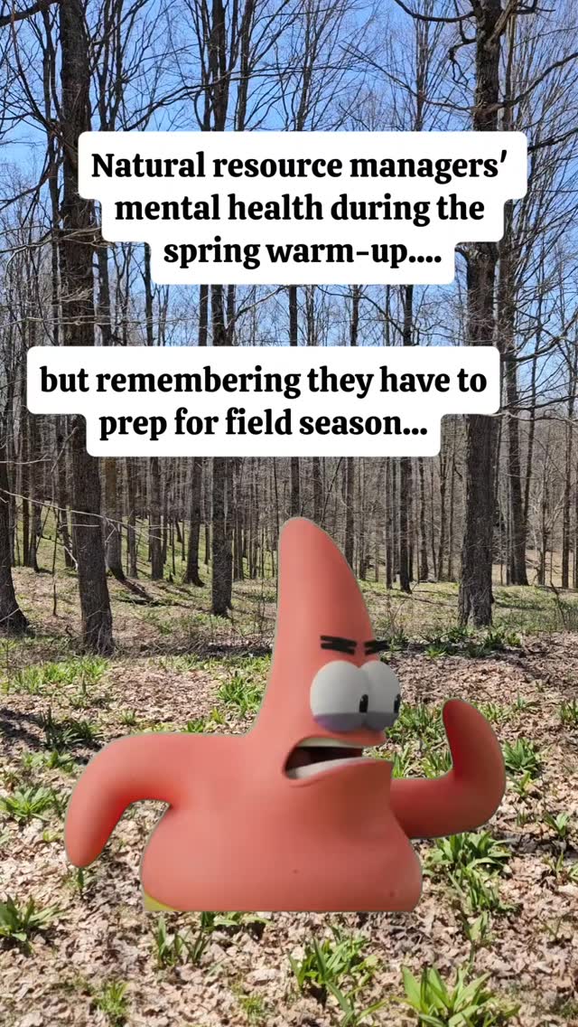 So exciting and so terrifying all at the same time - quite the rollercoaster of emotions!
#spring #conservation #environmentalscience #meme #CapCut