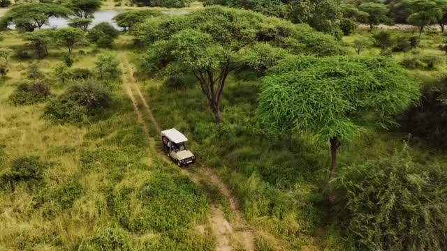 Experience the magic of the wild at Asanja Africa Luxury Camp 🌿🦁
Hidden in the heart of the breathtaking Serengeti National Park, this luxury tented camp offers an unforgettable safari experience where comfort meets the untamed beauty of Africa. Wake up to stunning sunrise views, enjoy gourmet dining under the stars, and witness incredible wildlife just moments from your tent.
From the Great Migration to peaceful evenings around the campfire, Asanja Luxury Camp is where authentic safari dreams come true.
✨ Plan your Serengeti adventure with us today!
📧 Email: info@gnadesafaris.com
📱 WhatsApp: +255793832959
🌐 www.gnadesafaris.com�
#Serengeti #LuxurySafari #TanzaniaSafari #SerengetiLuxury #AfricanSafari GnadeSafaris ExploreTanzania