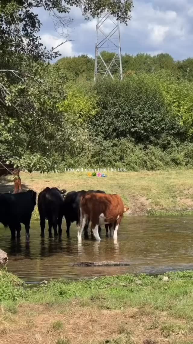 Sunshine, Pilates outside, walks without wellies and late night strolls. Summer is almost here!!
What are yoy most excited about for the summer?! ☀️ ⬇️