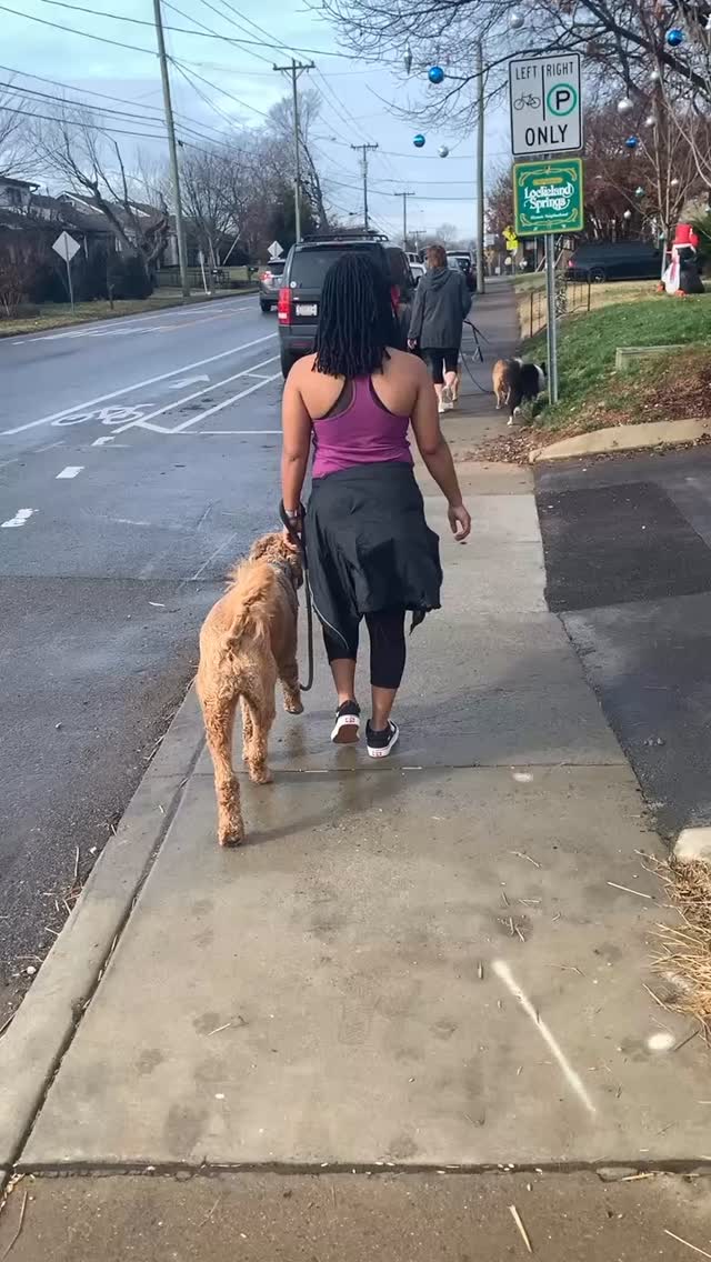 Morning walks are a great start to the day!
Let us help your pup start their day off right while you’re away 🤍
#nashvillepetsitter #nashvilledogwalker #nashvillepetcare