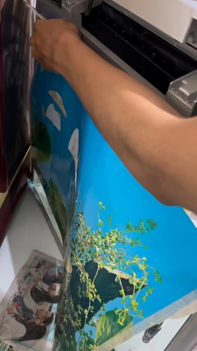 Transformamos un acuario abandonado en un ecosistema próspero 🤯
Intervinimos este acuario que había sido descuidado y lo transformamos en un hábitat saludable para sus habitantes. Con un enfoque en la creación de ecosistemas sostenibles, nos aseguramos de que cada detalle sea perfecto.
En este video, podrás ver el proceso de transformación y cómo nuestro equipo trabajó para crear un equilibrio perfecto entre la vida acuática y la belleza visual.
*¿Quieres un acuario saludable y próspero?* Contáctanos para saber cómo podemos ayudarte a crear un ecosistema único y sostenible para tus peces.
#ecosistemas #acuarios #sostenibilidad #vidaacuática #diseño