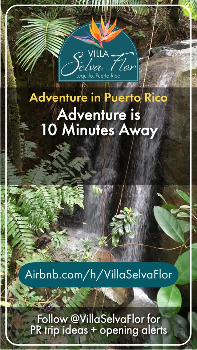 Adventure is basically next door.
Rainforest trails.
Waterfalls.
Beach sunsets.
Repeat as needed.
📍 Luquillo, Puerto Rico | Top 5% of homes on Airbnb ⭐
Plan your escape → airbnb.com/h/villaselvaflor
#PuertoRico #PuertoRicoTravel #ElYunque #IslandAdventure #BeachAndRainforest #VillaSelvaFlor