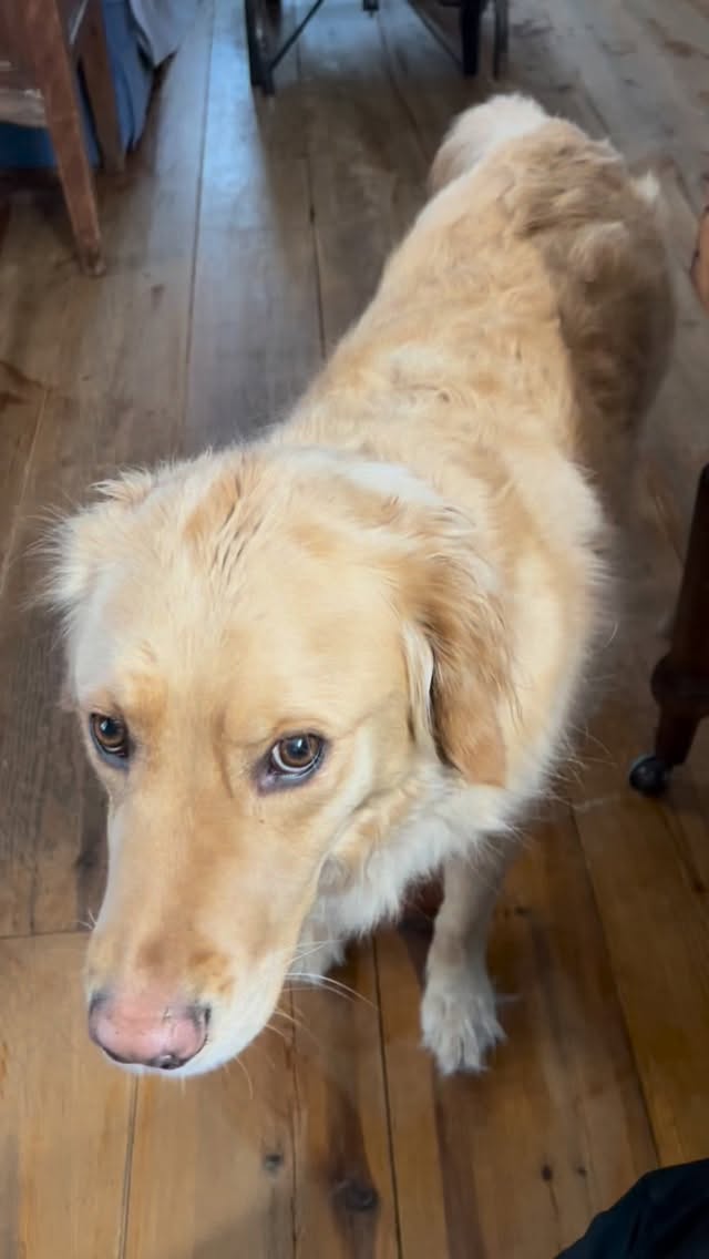 Une curieuse qui ne cesse de vouloir apprendre sur nous, nos fonctionnements, nos comportements, nos habitudes, nos modes de vie et qui s’adapte à l’autre pour l’aider à devenir la meilleure version d’elle même jour après jour.
Et pourquoi pas commencer par moi?
Être la meilleure moi, aujourd’hui, demain, après demain…
C’est excitant! J’ai hâte de voir la forme que ça prendra dans ma vie.