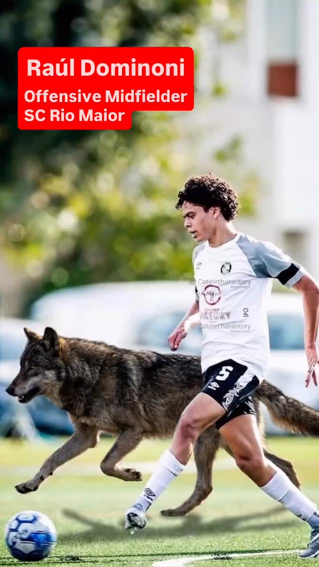 Raúl Dominoni, talented offensive midfielder, elite skills joins Wolves United Agency. This is the best ⭐️🐺💯 #movingforward