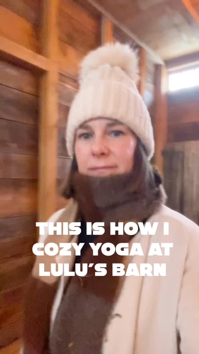At Lulu’s Barn we’re a Maine yoga boutique studio that’s a little quirky and definitely cozy. We don’t take ourselves too seriously…
How could we with alpacas peeking in on the studio? 🦙
Would you try cozy yoga in this Maine studio?
#westportisland #animalexperiences #thingstodoinmaine #newenglandbucketlist #lulusbarn