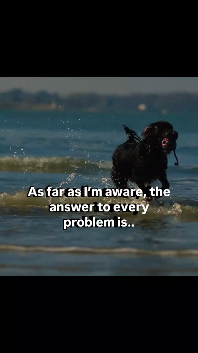 Dogs will always be my solution!
I have not had a bad day, since doing the job I do! Bad moments but never bad days!
#dogtrainingtips🐶🐶 #dogquirks #dogtraininguk #dogtrainingisfun