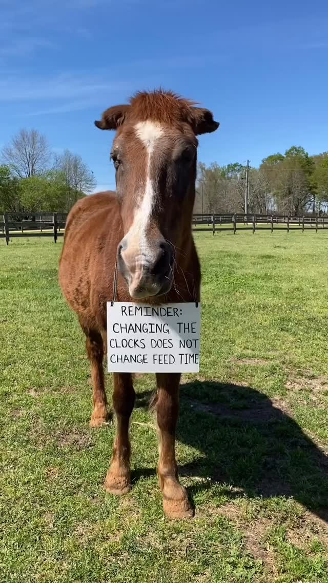 Time may change, but the responsibilities of farmers and ranchers never do. The clock moves, but the chores don’t. Livestock still need fed, water still needs checked, and the work keeps rolling.
Do you feel the difference when the time changes, or is it just another day on the ranch?
— From your friends at AgriBest Feeds 🌾🐄
#AgriBestFeeds #FarmLife #RanchLife #DaylightSavings #FarmersWork