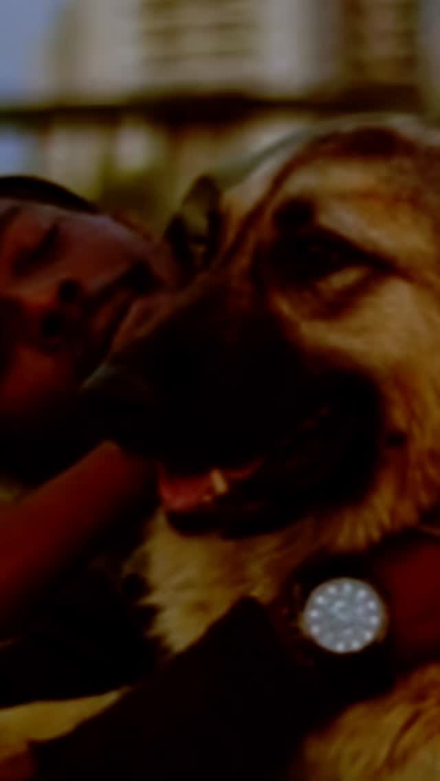 🐶 Con il cane non serve parlare per capirsi davvero.
I cani non comunicano principalmente con le parole, ma con postura, movimento, intenzione e segnali corporei.
Quando impariamo a osservare davvero il nostro cane, come si muove, come ci guarda, come cambia il suo corpo nelle diverse situazioni, scopriamo che la comunicazione era già lì… solo che parlava un’altra lingua.
Spesso pensiamo che il cane debba capire noi.
Ma la relazione cambia davvero quando siamo noi a iniziare a capire lui.
Ed è proprio in quel momento che nasce qualcosa di più profondo:
una connessione autentica, fatta di presenza, ascolto e fiducia. 🐾
📲 Nel mio canale WhatsApp condivido contenuti esclusivi su comportamento del cane, relazione e consigli pratici per vivere meglio con il proprio cane.
Trovi il link in bio o nel primo commento.
#vitadacani #linguaggiodelcane #dogeducation #relazioneuomocane #cinofiliaitalia