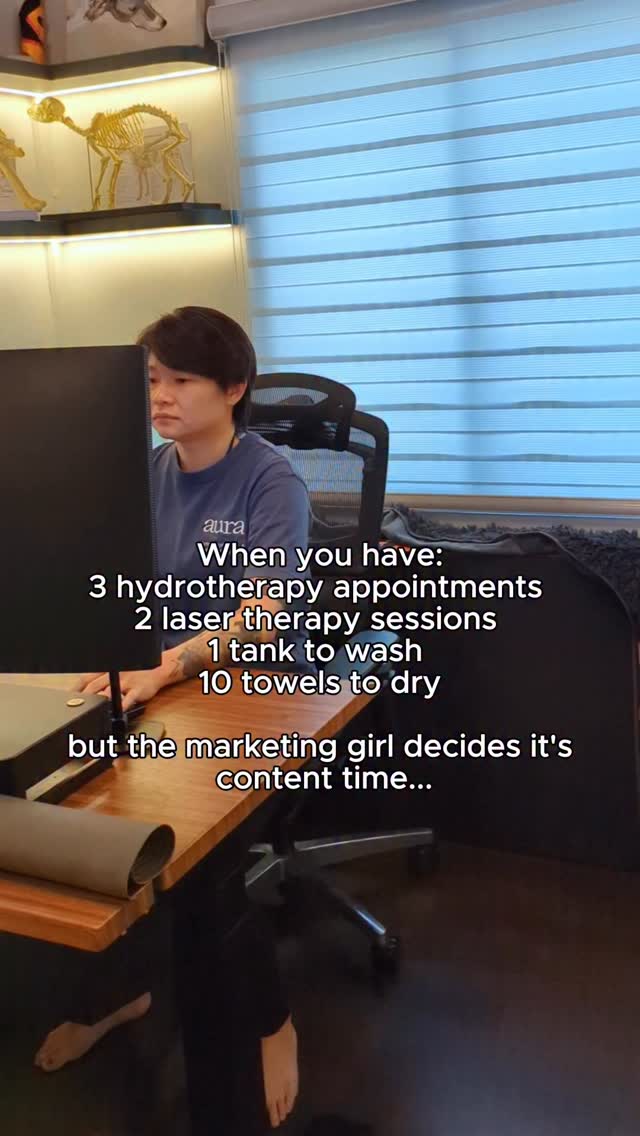 I just want to do my work!
๐57 Jalan Tua Kong