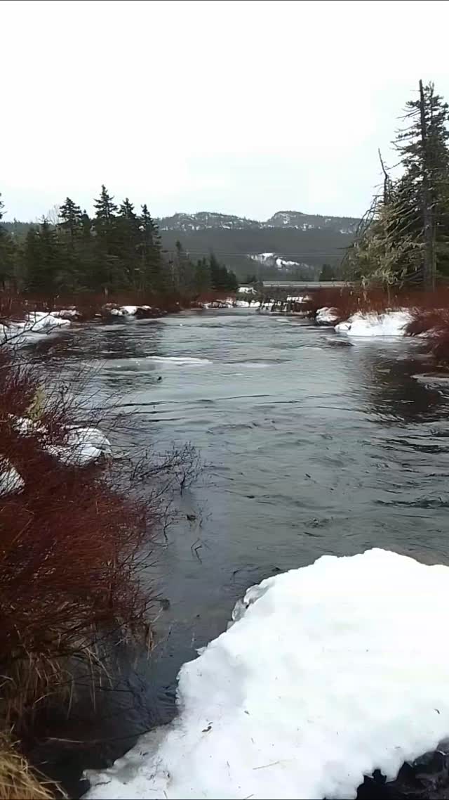 Nature knows what's going on. 💙🩵🙏