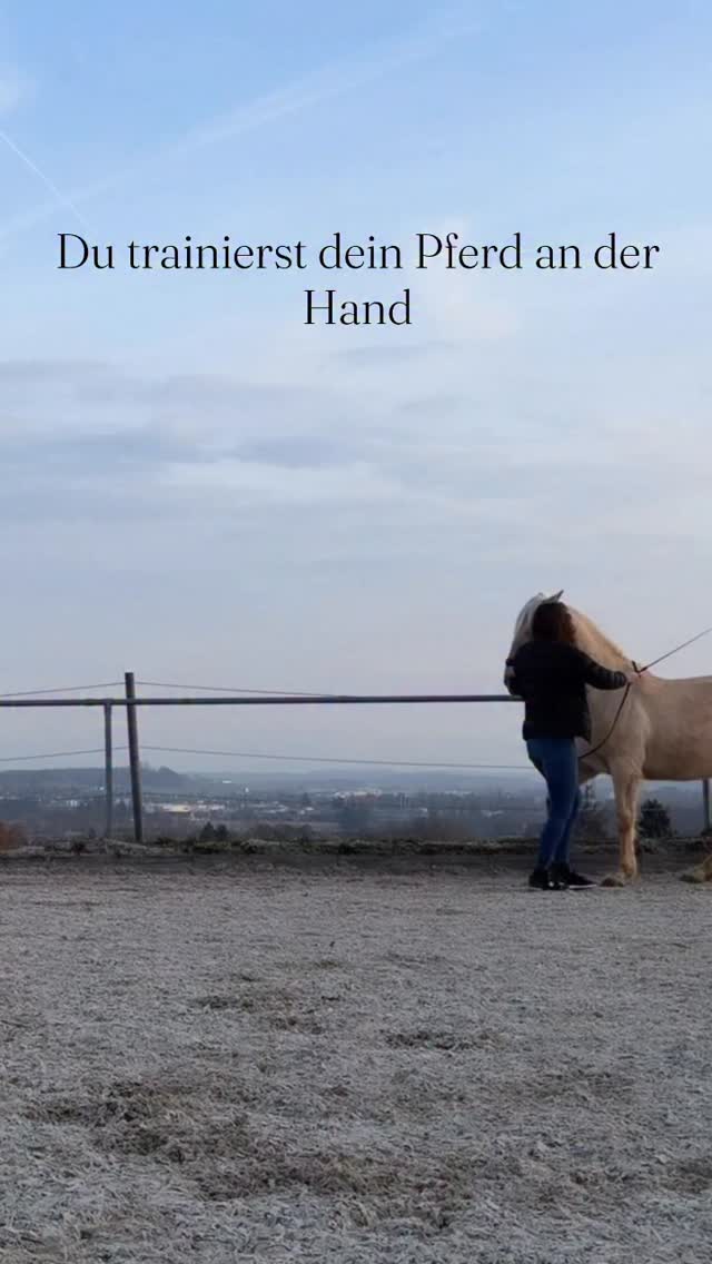 Ich liebe die Arbeit an der Hand. Man kann sein Pferd so weit ausbilden. 🫶🏼 Heute kam es mir nicht mal so vor als wäre es anstrengend gewesen obwohl wir gar nicht so wenig gemacht haben. 😅🤍
•
Die Aufnahmen sind von unserer Einheit heute. Das Training ist ein ewiger Prozess bei dem es nie linear verläuft. Früher hat man Sui immer klein geredet für seinen Körperbau… und trotzdem kann er all diese Lektionen aufführen. Die Dressur ist eben für das Pferd da und nicht das Pferd für die Dressur. 🙏🏻🥰