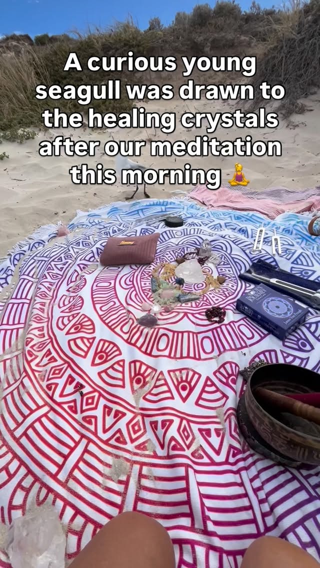 Animals love the healing effects and energy of crystals… the birds 🕊️in my backyard love to sleep next to them outside and our pet rabbit used to wrap herself around them too.. 🫶💗🐇
Peaceful & calming 🙏
This curious young seagull tried to fly off with citrine crystals! Maybe it needed some confidence… it looked pretty confident to me! 😆
Love & blessings ✨
Tammy xxx
#naturalinnerhealth #tammymiller #calmisyoursuperpower #perthmeditation