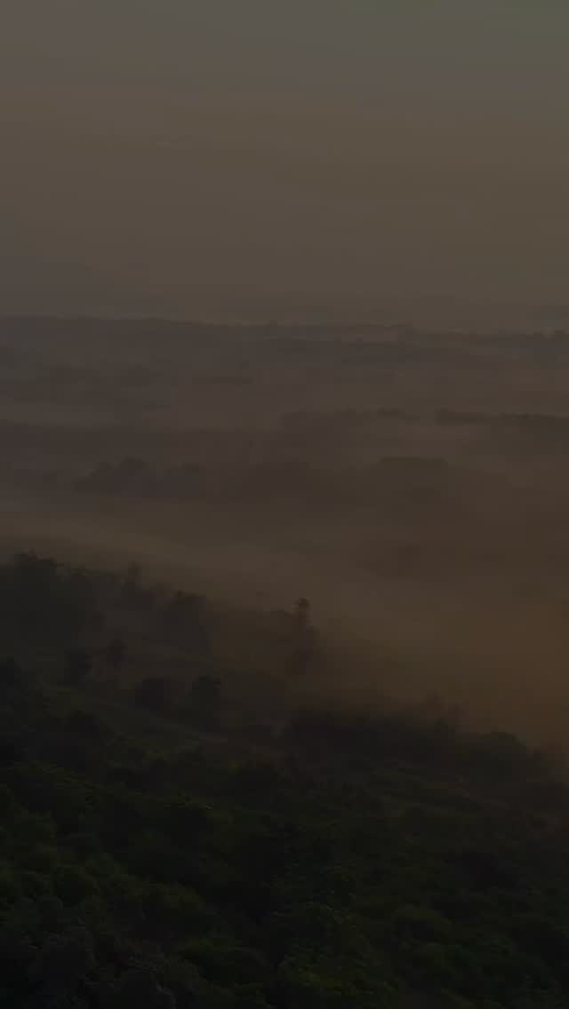 Actual historical accounts of witches and folklore was used to develop both of these slow burn YA novels 🖤