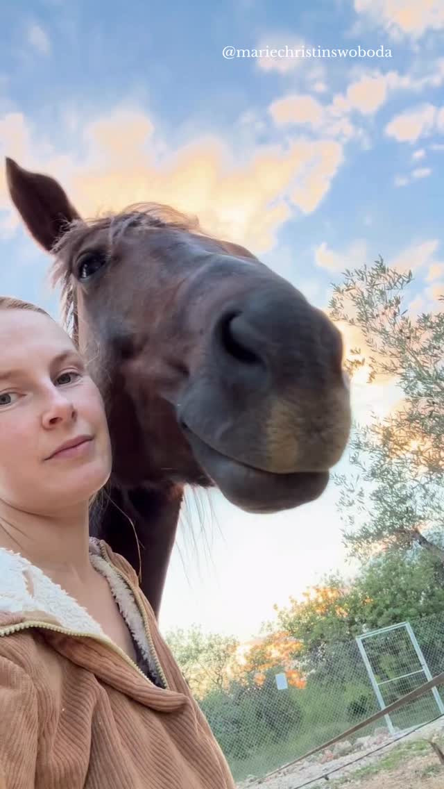 Und ich habe sie gefragt:
Brauchst du ihn gerade oder willst du im wirklich in Verbindung begegnen?
Denn manchmal kommen wir nicht zum Pferd, um in Verbindung zu gehen, sondern um uns selbst zu regulieren.
Nach einem Tag voller Druck.
Nach Gesprächen, in denen wir stark sein mussten.
Nach Momenten, in denen wir unsere eigenen Gefühle weggedrückt haben.
Oftmals sind das keine einzelnen Tage sondern jahrelanger Dauerzustand.
Dann soll das Pferd es richten, uns runterholen, uns halten.
Aber Pferde tragen uns nicht, wenn wir uns selbst nicht halten können.
Sie gehen nicht weg, um uns zu verletzen.
Sondern weil sie spüren: Hier ist energetisch gerade viel zu viel los und davor wollen sie sich schützen.
Nähe braucht Sicherheit und zwar auf beiden Seiten.
Wenn du dich darin erkennst
und verstehen möchtest,
was dein Pferd dir wirklich über deinen inneren Zustand zeigt:
Kommentiere CHECK und ich schicke dir meinen 0€ Self-Check. 🤍✨
#Pferdeverhalten #Nervensystem #ReiterinMitGefühl #BindungZumPferd #InnereStabilität
Pferd läuft weg Bedeutung, Nervensystem regulieren Frau, Pferd spiegelt Stress, Beziehung zum Pferd verbessern, emotionale Regulation Reiterin