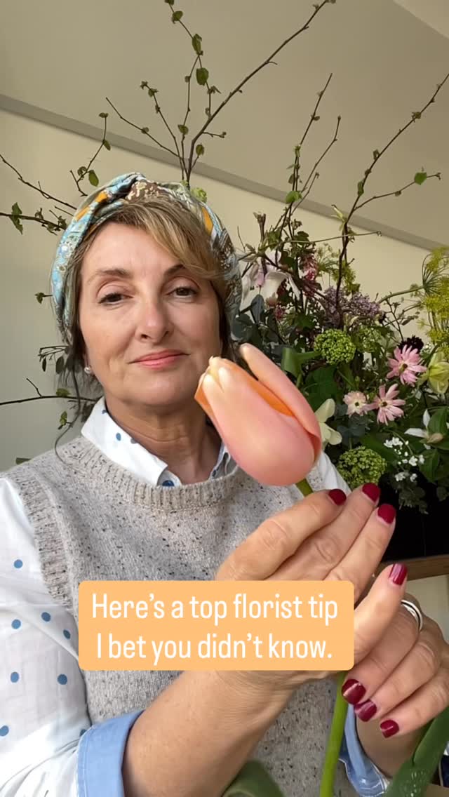 When open tulips look fabulous in bouquets, vases and arrangements. This is tulip Menton - it’s beautiful on the outside as well as inside. Perfect for spring flowers in the house and Easter. I love the inner petal when reflexes so much I have planted and grown more bulbs this year. My tulips and spring flowers are peeping up and I expect them to be up ready for a starring roll in my spring bouquet orders in mid April and at my new monthly Saturday Flower Club - details to follow but if you can’t wait it’s on my website workshop page 🌸